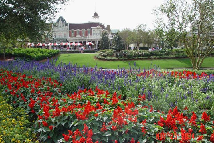 WDW_2004_309A
