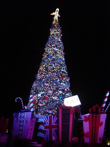 WDWChristmas2005_092_2