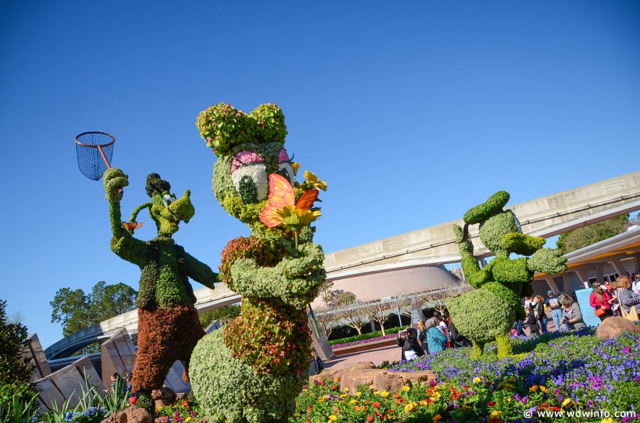 WDWINFO-Epcot-Flower-Garden-2014-003