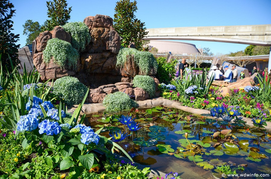 WDWINFO-Epcot-Flower-Garden-2014-004
