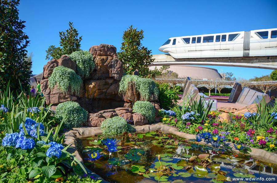 WDWINFO-Epcot-Flower-Garden-2014-005