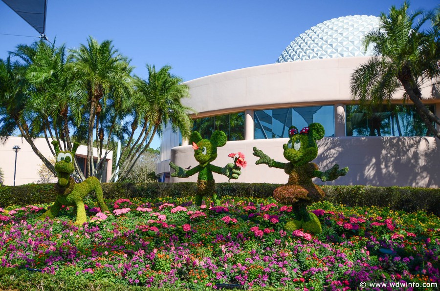 WDWINFO-Epcot-Flower-Garden-2014-007