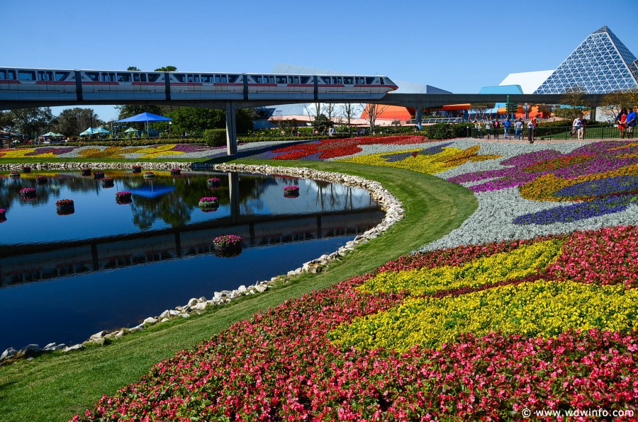 WDWINFO-Epcot-Flower-Garden-2014-013