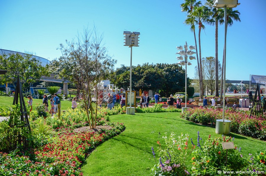 WDWINFO-Epcot-Flower-Garden-2014-024