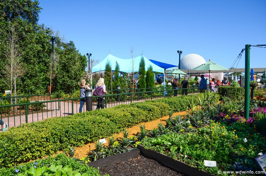 WDWINFO-Epcot-Flower-Garden-2014-038