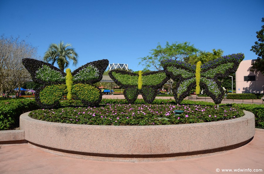 WDWINFO-Epcot-Flower-Garden-2014-044