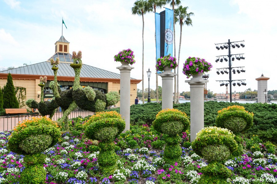 WDWINFO-Epcot-Flower-Garden-2014-055