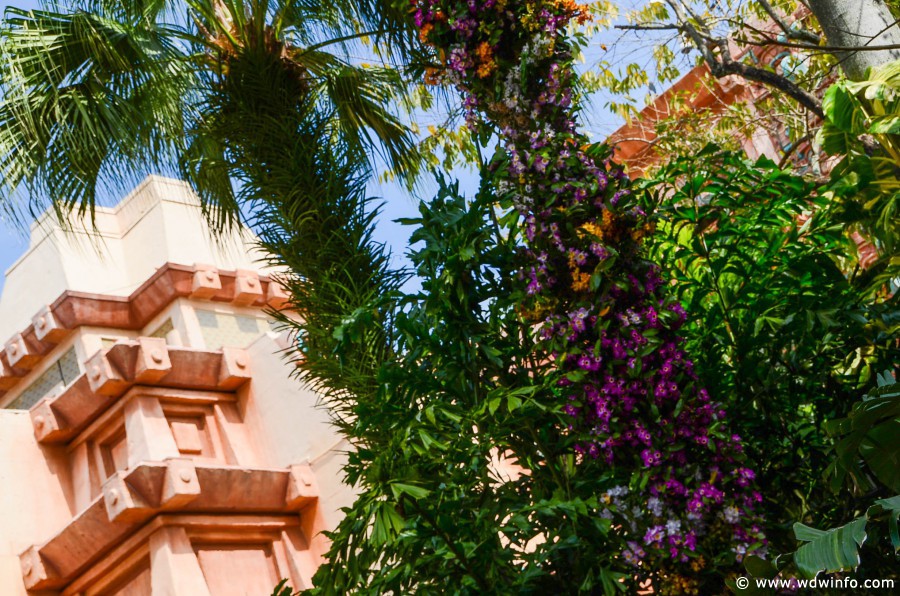 WDWINFO-Epcot-Flower-Garden-2014-079