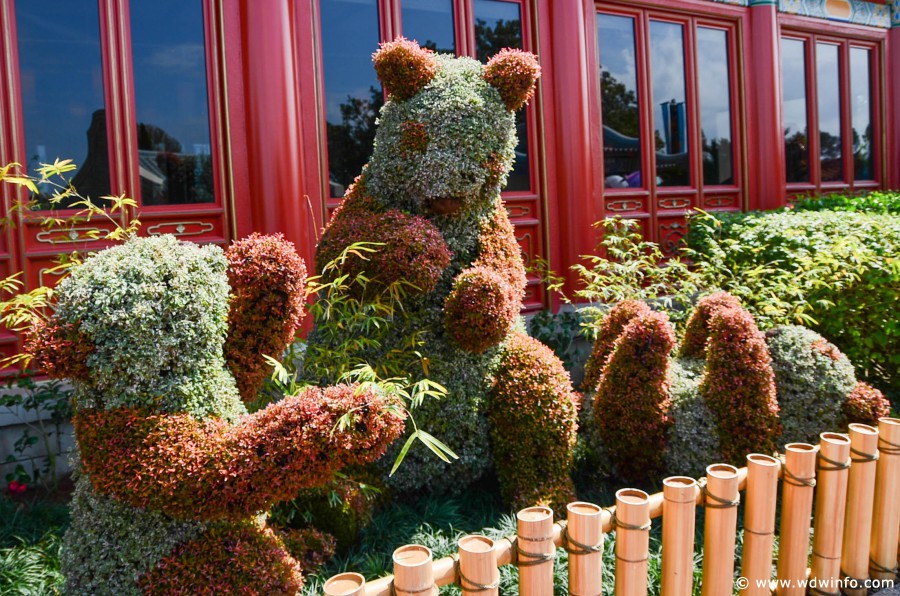 WDWINFO-Epcot-Flower-Garden-2014-081