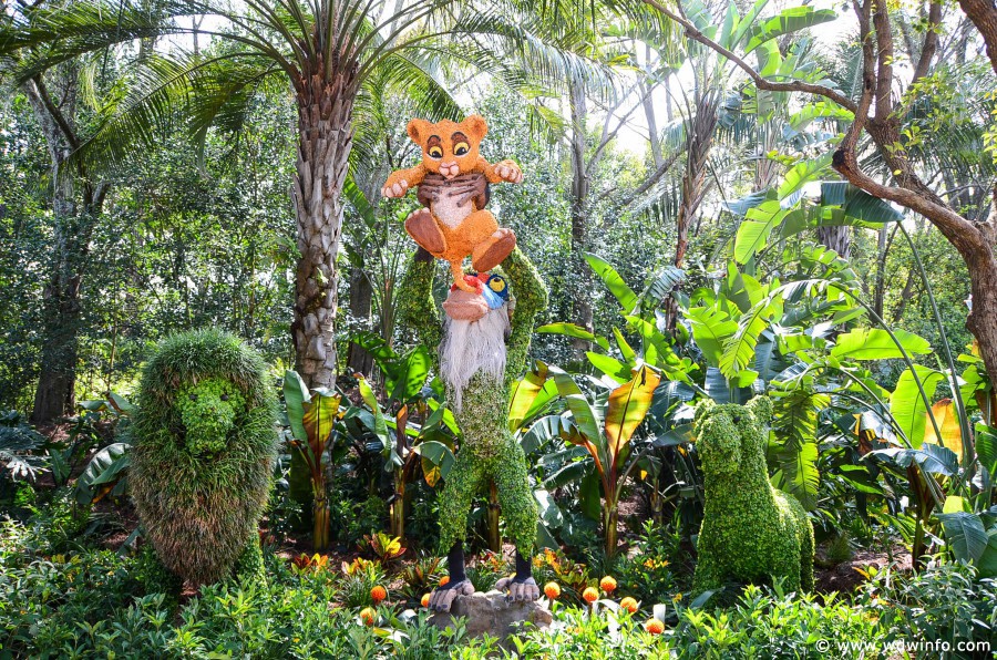 WDWINFO-Epcot-Flower-Garden-2014-084
