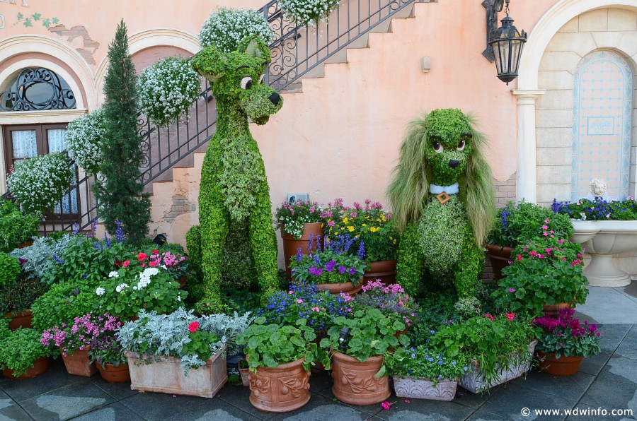 WDWINFO-Epcot-Flower-Garden-2014-092