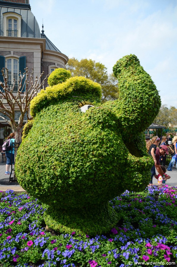 WDWINFO-Epcot-Flower-Garden-2014-101