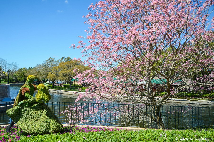 WDWINFO-Epcot-Flower-Garden-2014-114