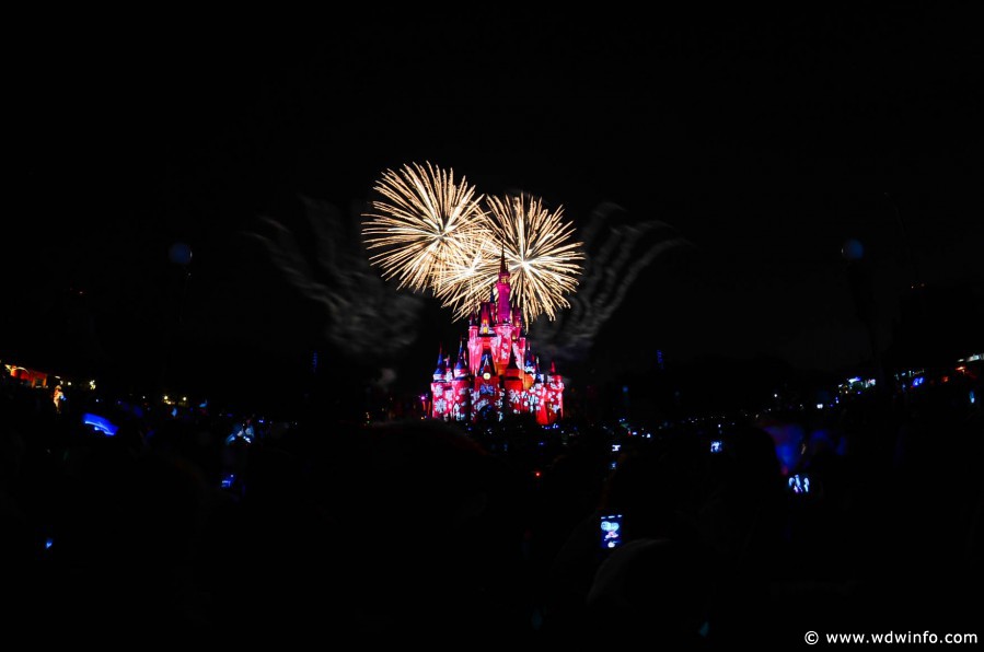 WDWINFO-MVMCP-2013-010