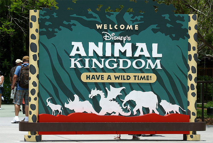 Welcome sign