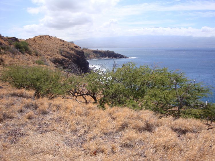 West Maui scenery