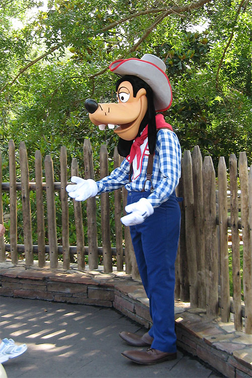 Western attire for Goofy