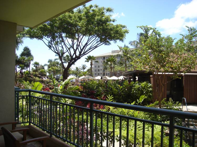 Westin Kaanapali 1st Floor Ocean View