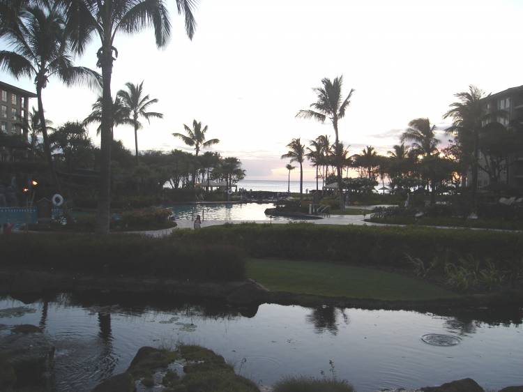 Westin Kaanapali Sunset and Pool