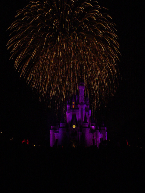 When You Wish...