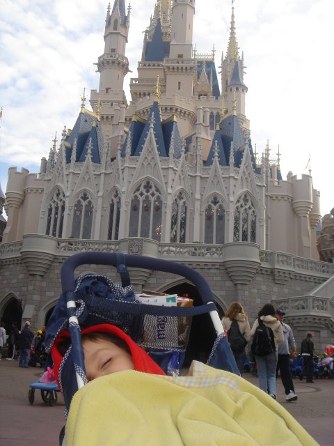 Where Dreams Come True !