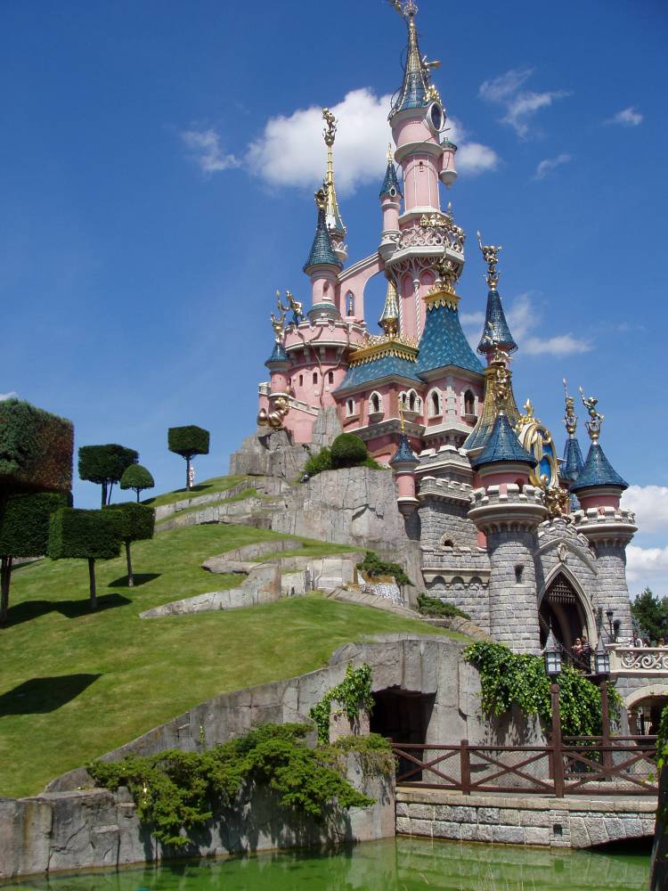 Where dreams come true