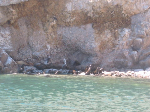 where they are swimming