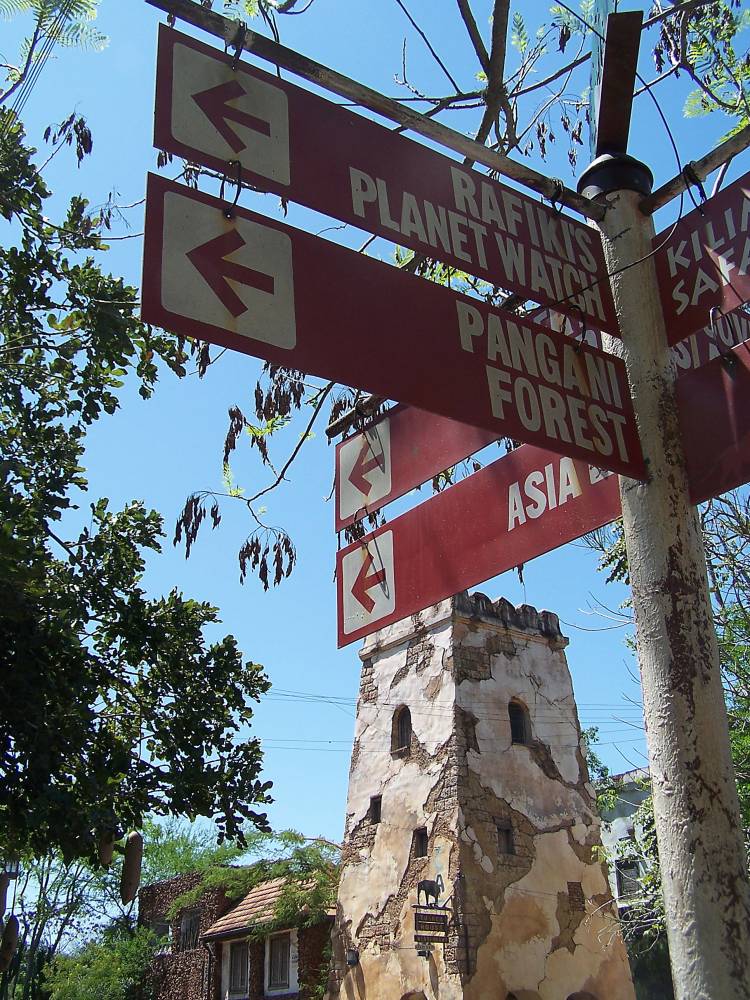 Which way to go . . .