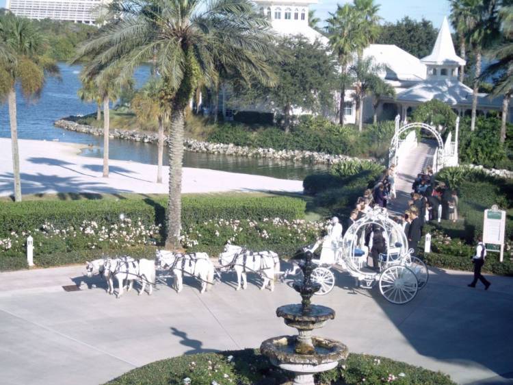 whitewedding