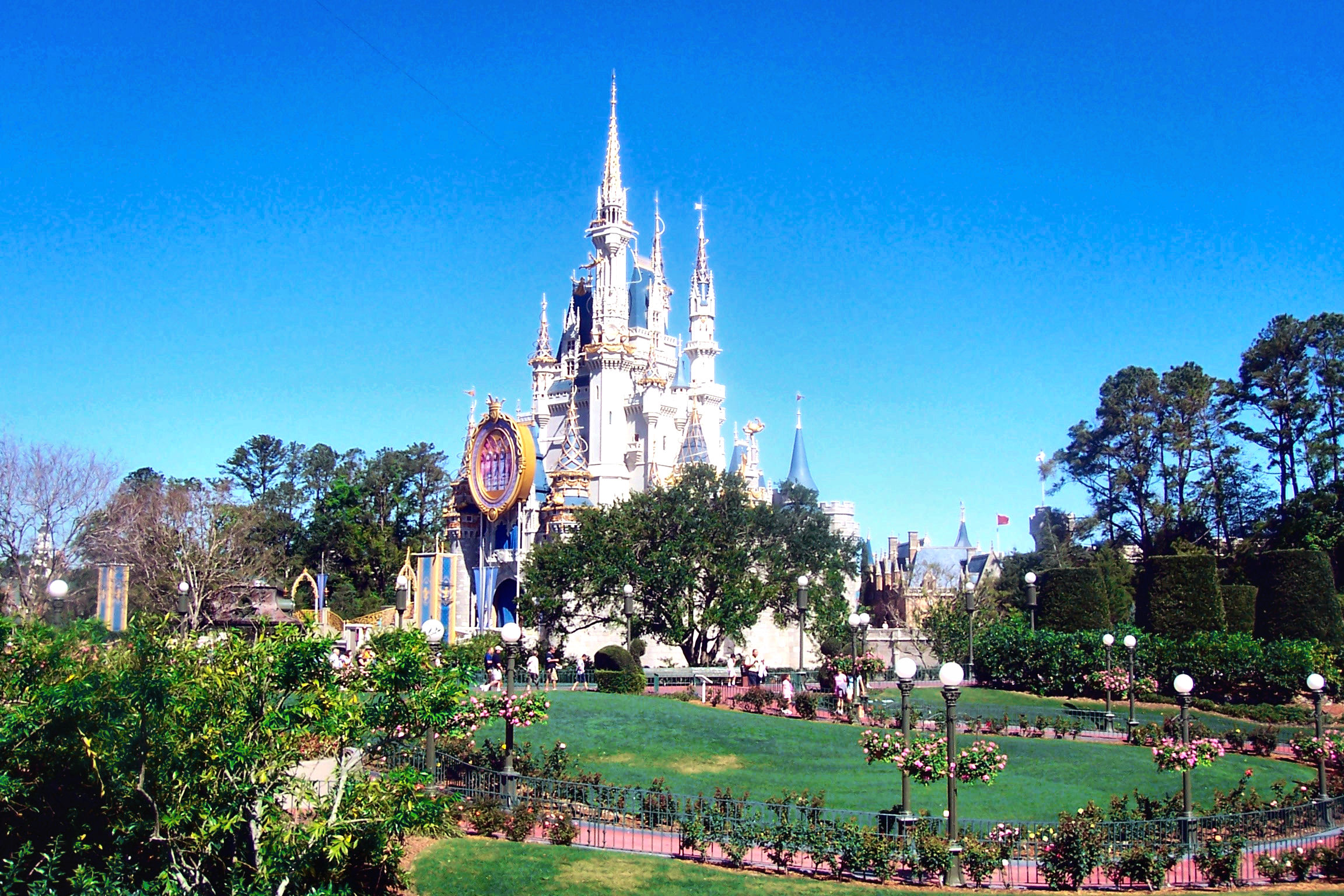 Wide shot - castle and rose garden.