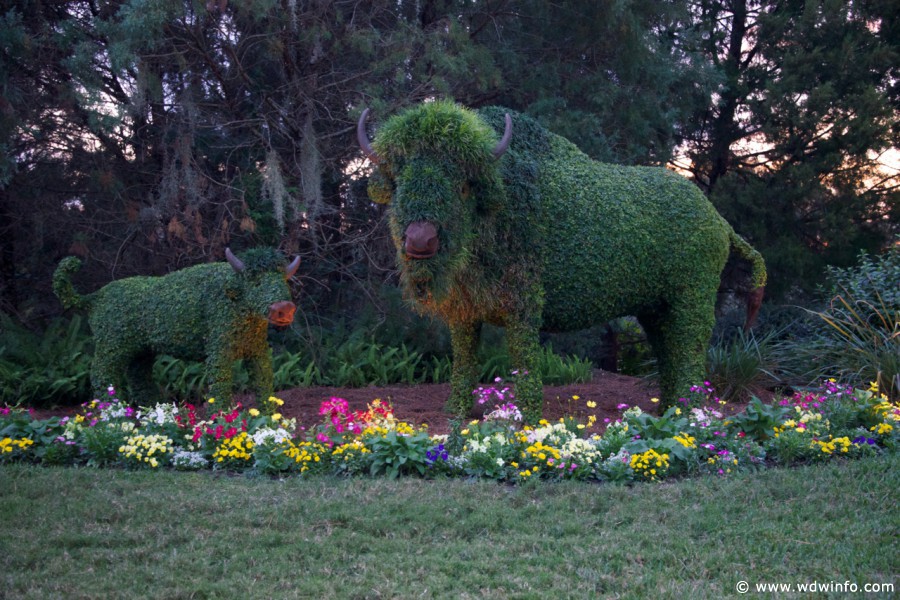 Wilderness-Lodge-Resort-073