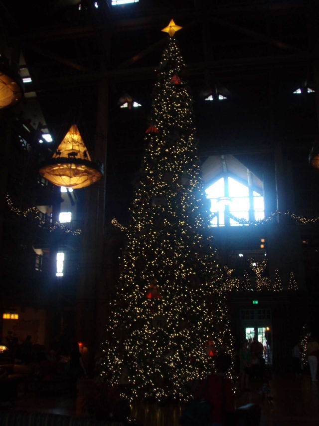 Wilderness Lodge Tree