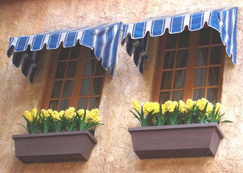 window