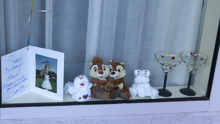 window_3_9888_copy