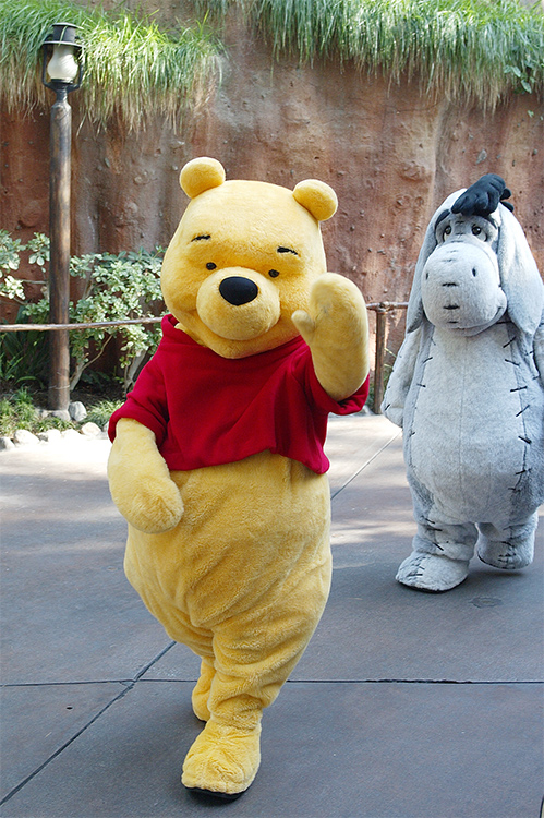 Winnie the Pooh and Eeyore