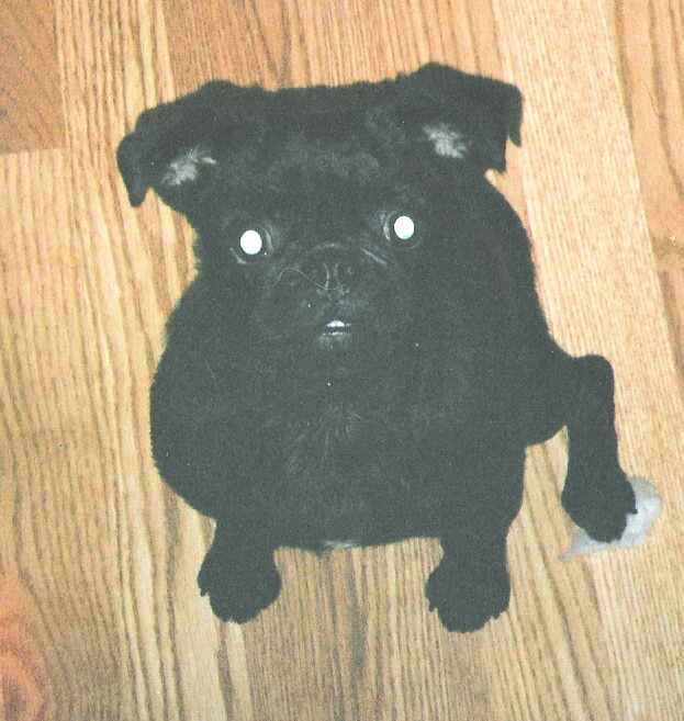 Winnifred