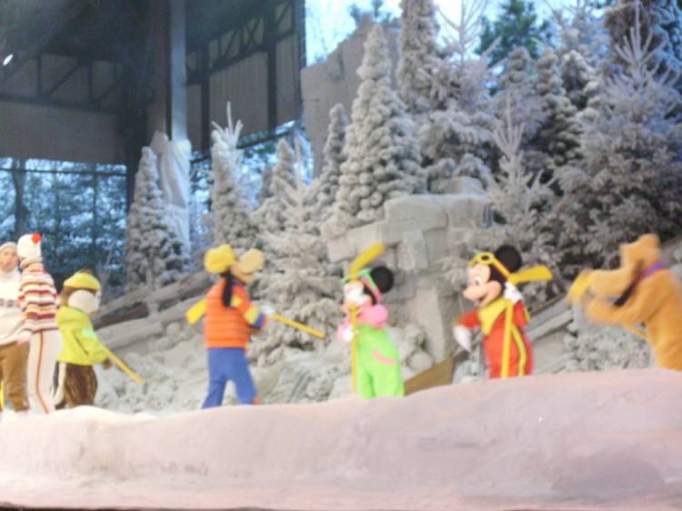 Winter Wonderland