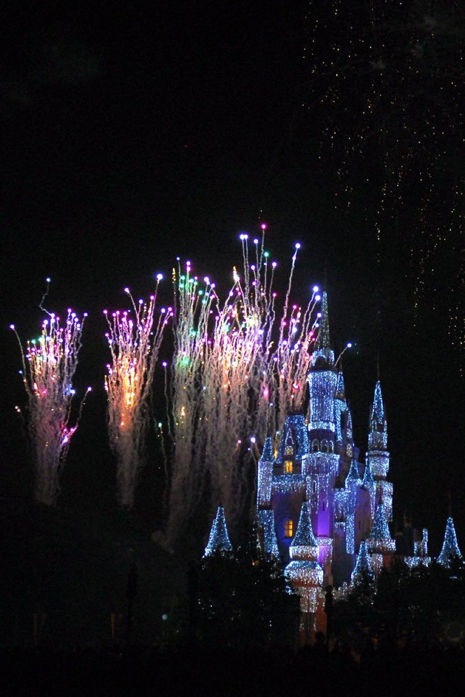 Wishes - Cinderella Castle