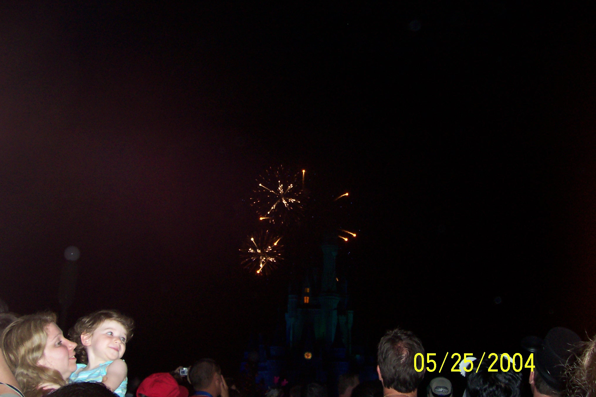 Wishes Fireworks