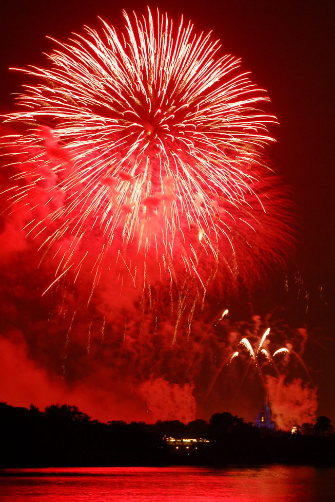 Wishes from the Polynesian Resort