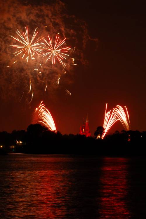 Wishes from the Polynesian Resort