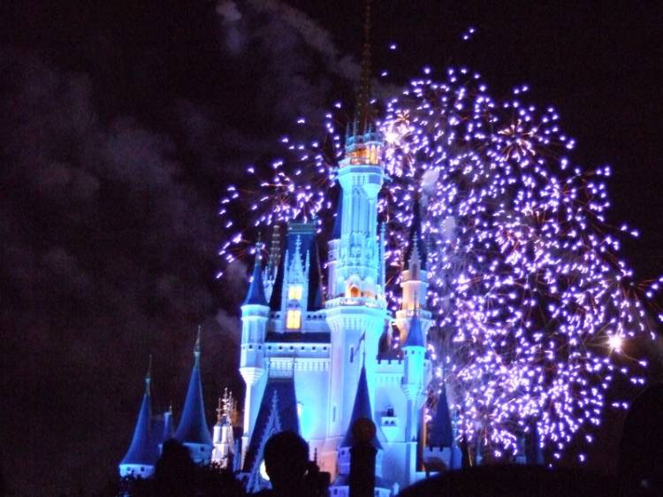 Wishes in Purple