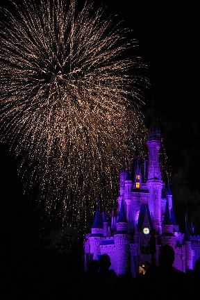 WISHES-MVMCP 2004