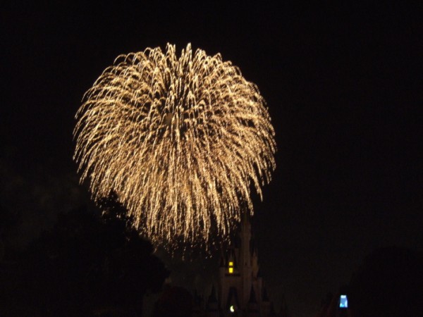 Wishes