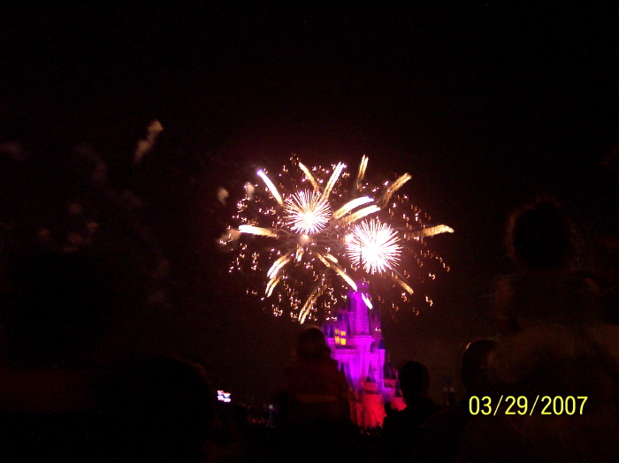 Wishes
