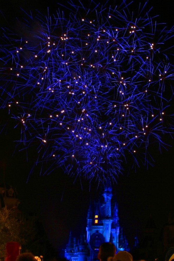 Wishes