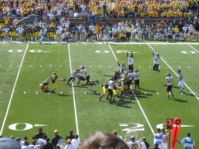 Wolverines