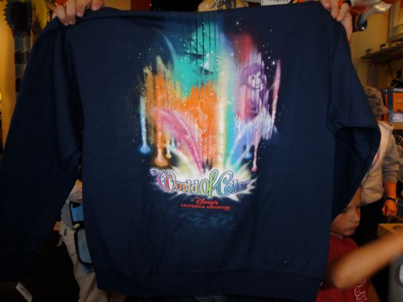 world of color merchandise hoodie back