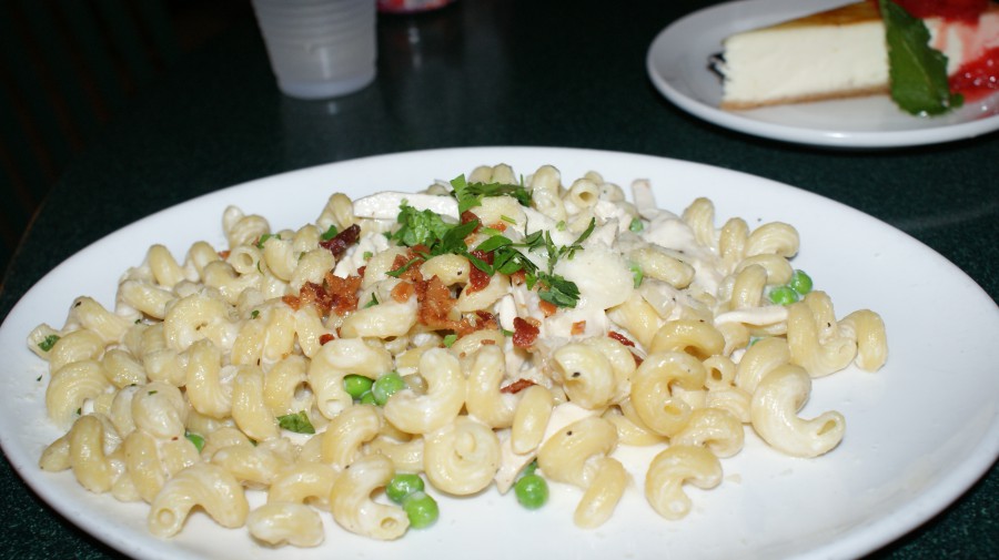 WPE Cavatappi Chicken Alfredo