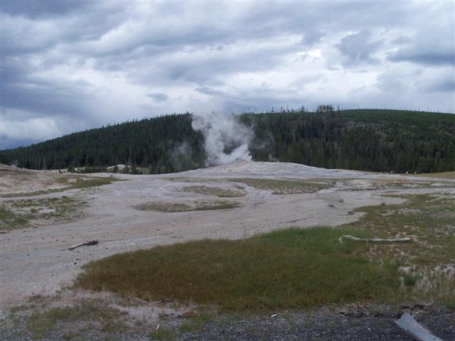 Wy